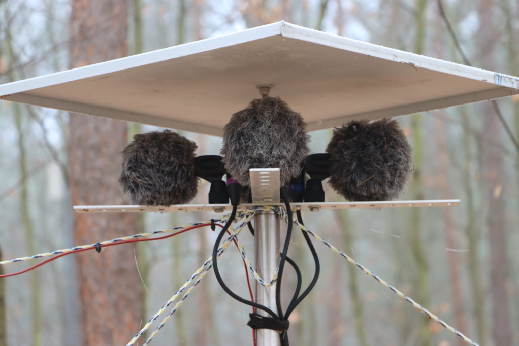 Sensoren zur Aufzeichnung von Bioakustik auf der Intensivmonitoringfläche Britz. Sensoren zur Aufzeichnung von Bioakustik auf der Intensivmonitoringfläche Britz.