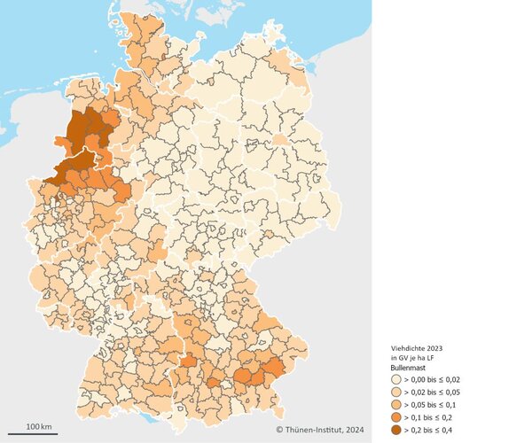 Regionale Verteilung der Mastbullen 2023. Eine Deutschlandkarte zeigt die regionale Verteilung der Mastbullen 2023 mit verschieden farbigen Flächen.