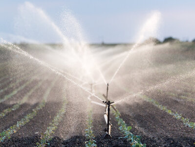 Bewässerungssystem auf einem Feld Ein Wassersprenger bewässert ein Feld.
