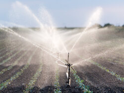 Bewässerungssystem auf einem Feld Frühjahrsdürre in Deutschland – das kann Bewässerung leisten