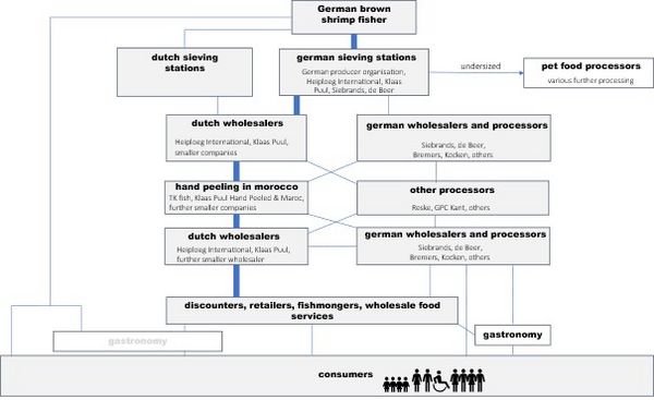 The status-quo (2023) of the North Sea shrimp value chain. 