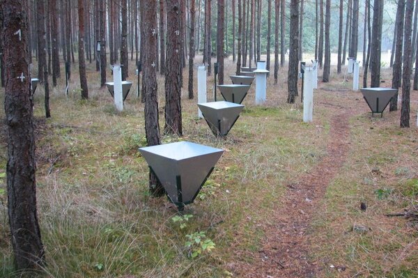 Messung des Streufalls am Waldboden eines Kiefern-Reinbestandes. Messung des Streufalls am Waldboden eines Kiefern-Reinbestandes.