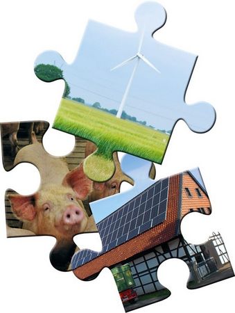 3 Puzzleteile, sie zeigen Windkraft, Schweine und landwirtschaftlichen Betrieb