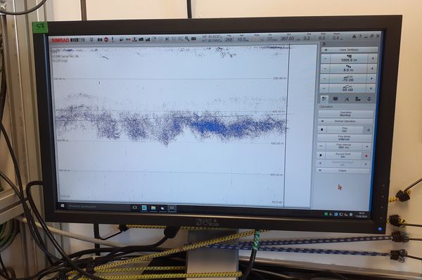 A typical view on the hydroacoustics monitor with the intense deeep scattering layer displayed in the centre of the monitor.