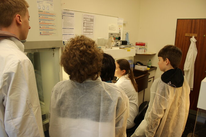 Klicken für eine Vergrösserung