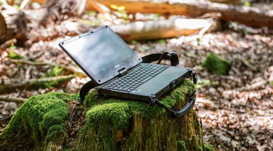 A laptop is lying on a moss-covered tree stump.