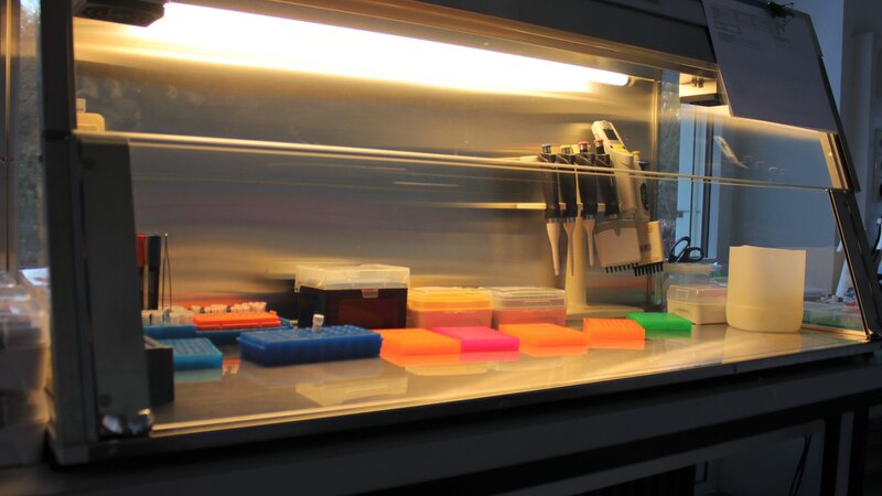 Klicken für eine Vergrösserung