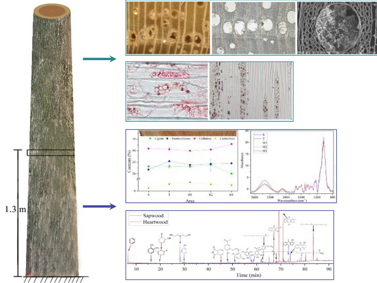 Übersicht zur Probennahme