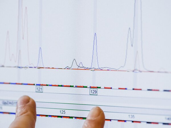 Klicken für eine Vergrösserung