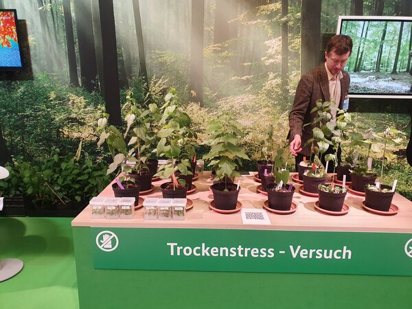 Klicken für eine Vergrösserung