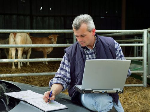 Eine Person sitzt vor einem Stall, hat einen Laptop auf dem Schoss und notiert etwas auf Papier