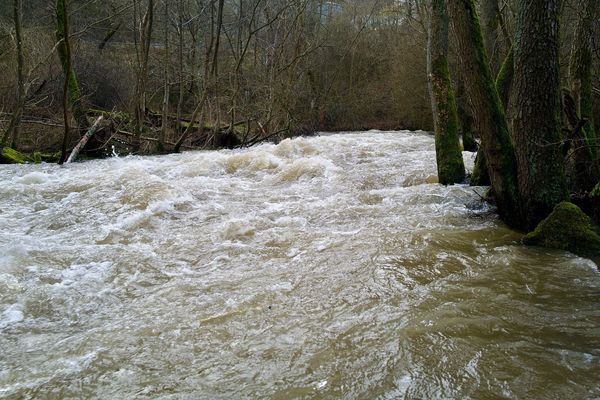 A raging river with trees standing in it because it has burst its banks.