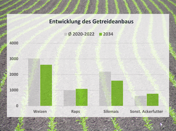 Above a field with young plants lies a diagram showing the development of wheat, rapeseed, corn and other arable fodder.