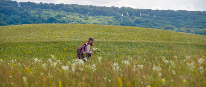 Mitarbeiterin bei der Feldarbeit
