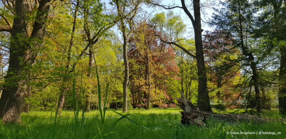 Klicken für eine Vergrösserung