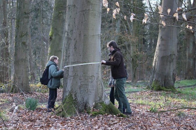 Klicken für eine Vergrösserung