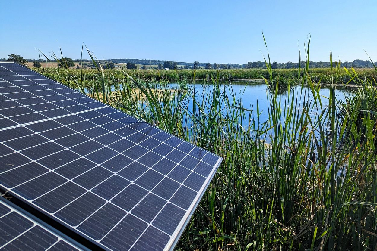 Photovoltaic system on moorland site