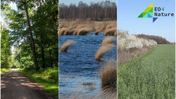 Earth observation to support nature-based solutions for climate and biodiversity EO4Nature - Earth observation to support nature-based solutions for climate and biodiversity