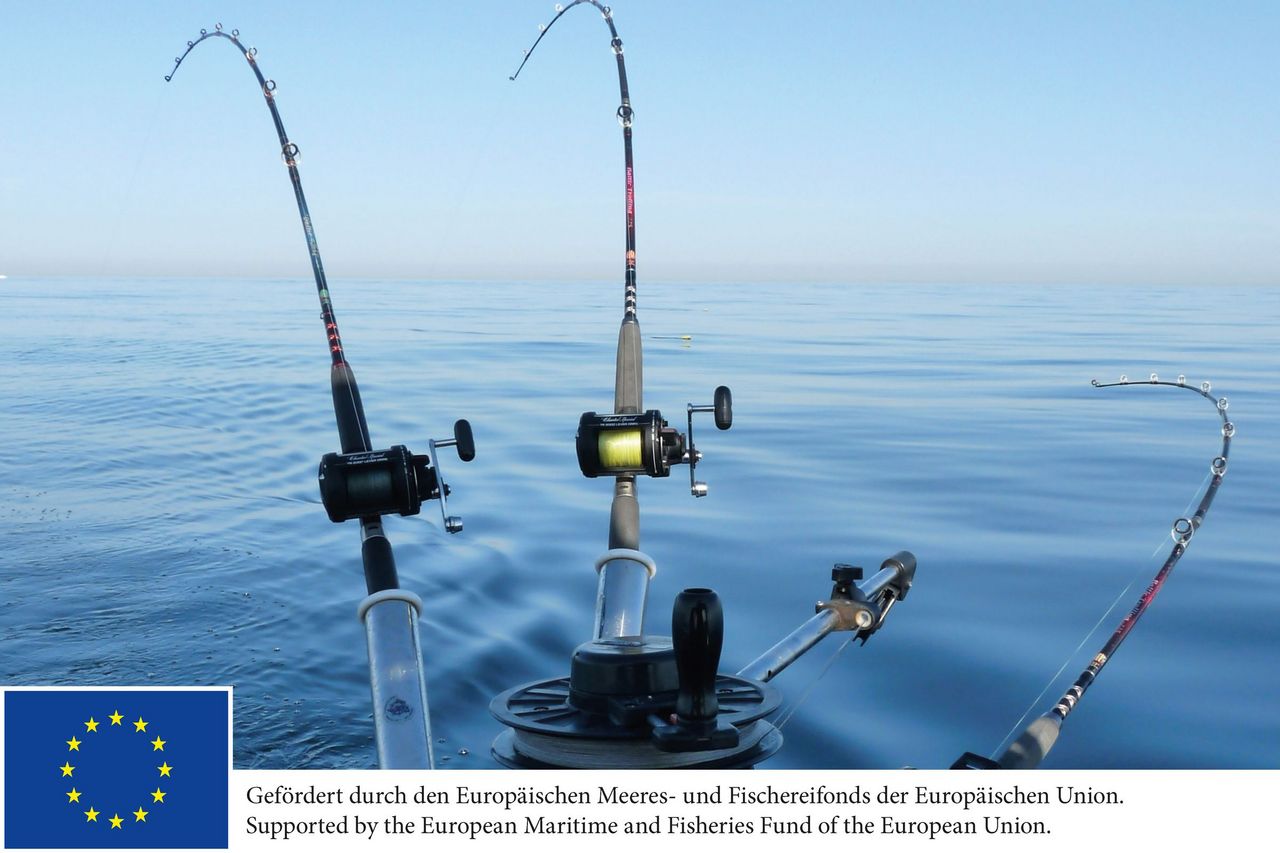 Thünen: Recreational fishery on salmon and sea trout