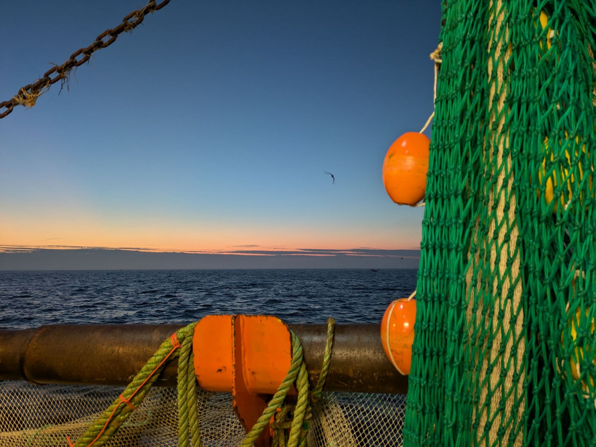 Blick auf den Horizont bei Sonnenunterang. Im Vordergrund Fischnetze und orange Bojen.