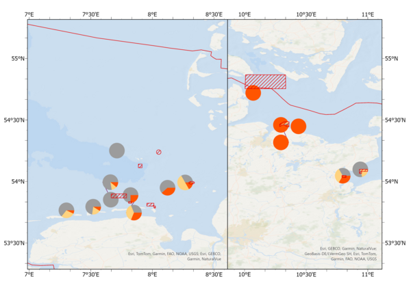 Grafik zur Verteilung von TNT-Metabolit in Fischen aus deutschen Küstengewässern.