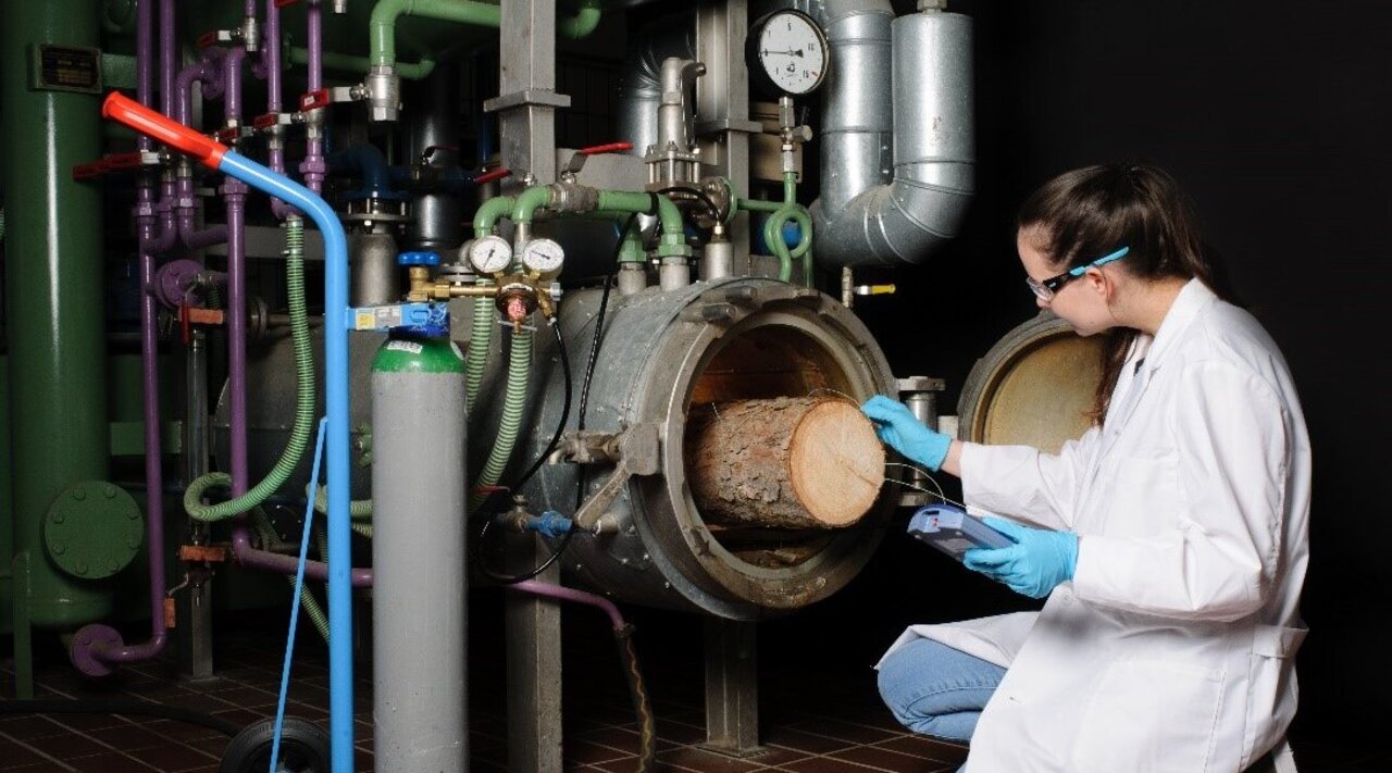 Klimaneutrale Begasung