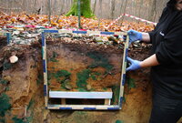 Mit blau gefärbtem Wasser untersuchen die Forschenden, wo das Wasser im Boden entlangfließt. In einer Grube im Wald sind die Bodenschichten sichtbar, es wird ein Messquadrat vor das Profil gehalten.