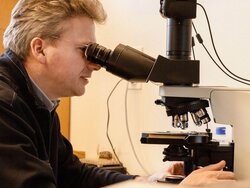 Für die mikroskopischen Untersuchungen hat das Thünen-Institut einen Bestimmungsschlüssel mit rund 120 Strukturmerkmalen entwickelt. Am Mikroskop: Dr. Gerald Koch. Mikroskopische Holzartenbestimmung