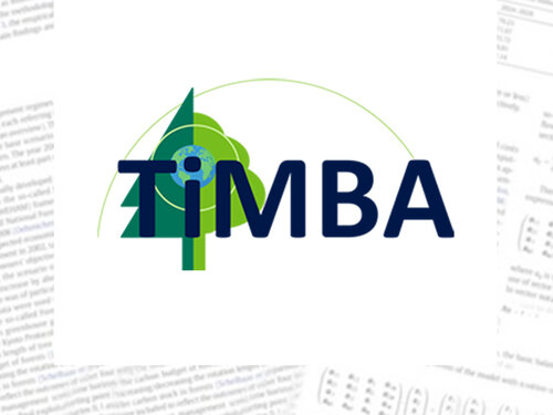 timba Logo