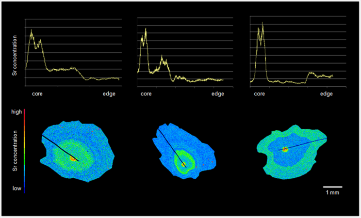 Klicken für eine Vergrösserung