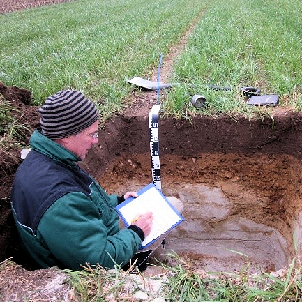 Ein Kartierer steht in einem ausgehobenen Bodenprofil.