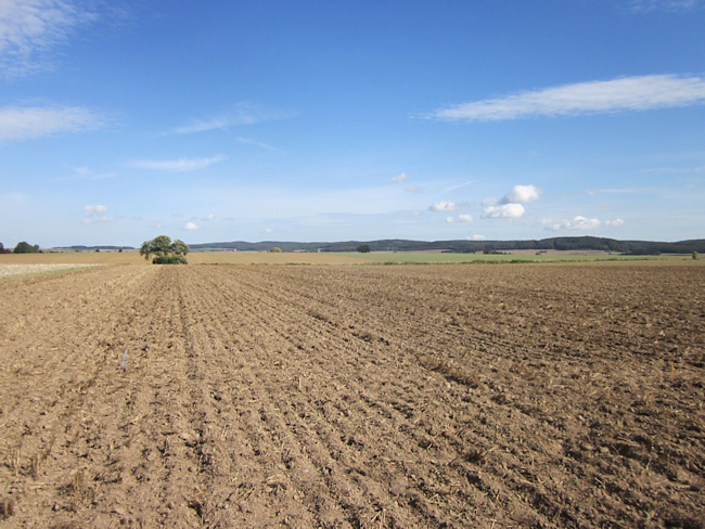 Croplands and grasslands in Germany store 2 billion tons of carbon as soil organic matter