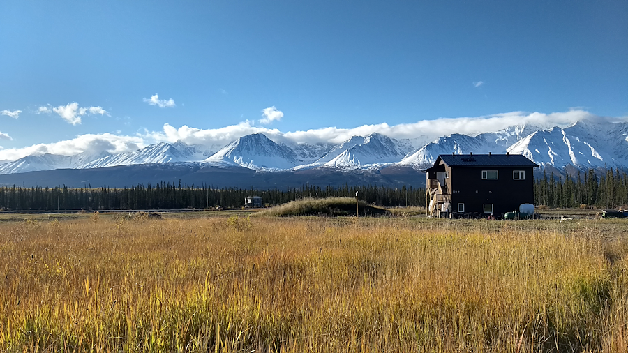 Eine der 19 Versuchsflächen im Yukon (Kanada) des Projektes Breaking the Ice