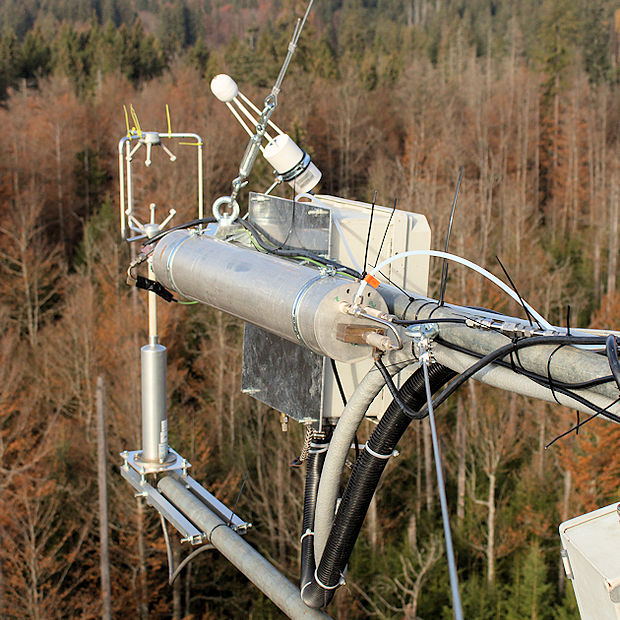 Measuring setup at the Bavarian Forest National Park