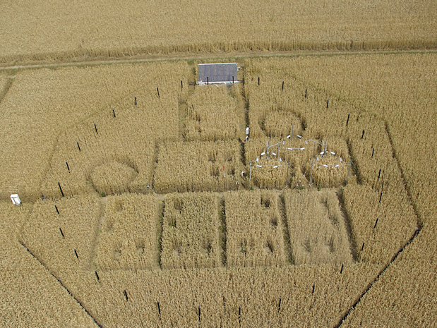 Ansicht eines FACE-Rings auf dem Winterweizenfeld im Juli 2014. Im unteren Halbkreis sind Parzellen mit unterschiedlicher Stickstoffdüngung und darüber befinden sich Versuchsflächen mit Infrarotstrahler zur Erhöhung der Temperatur des Pflanzenbestandes.