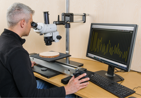 Wissenschaftler betrachtet eine Holzprobe an einem Mikroskop