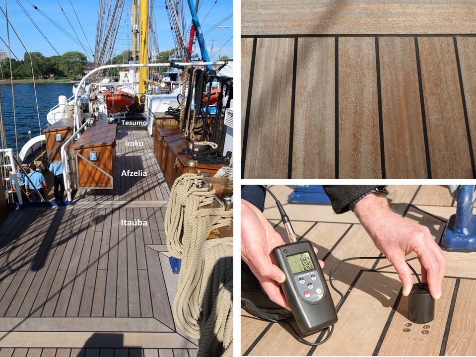 Versuchsfläche auf der Gorch Fock