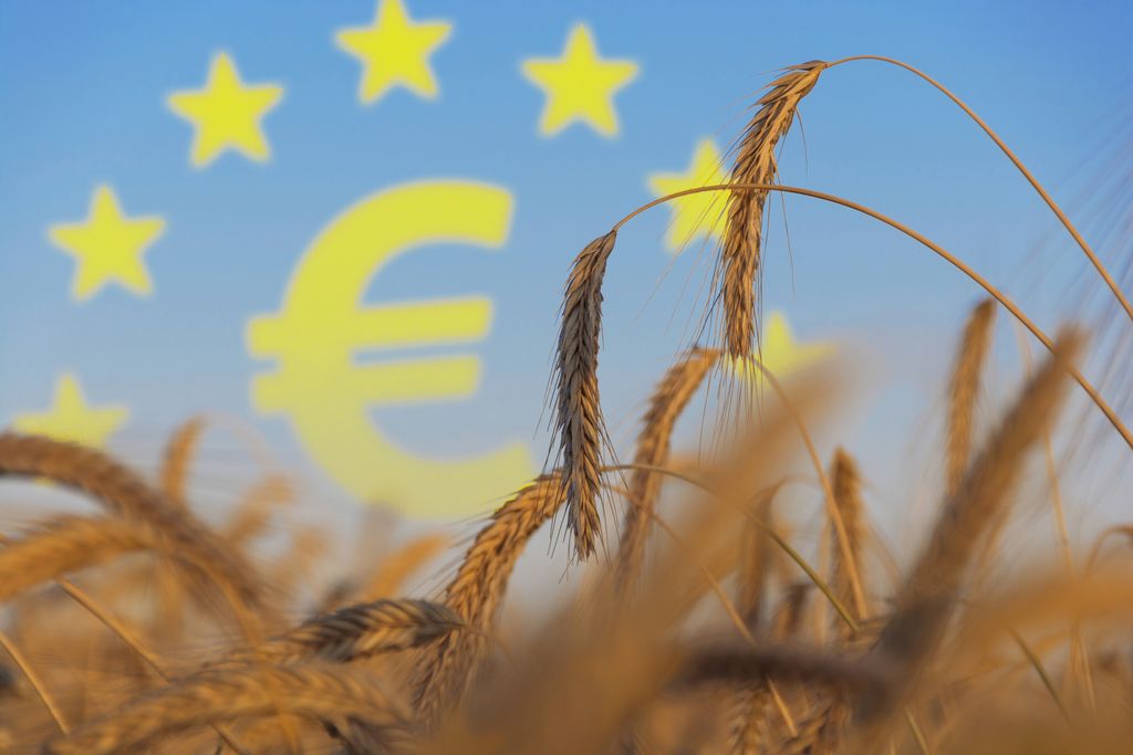 Photo composition: In the foreground a grain field, in the background the currency symbol of the euro surrounded by the EU stars.