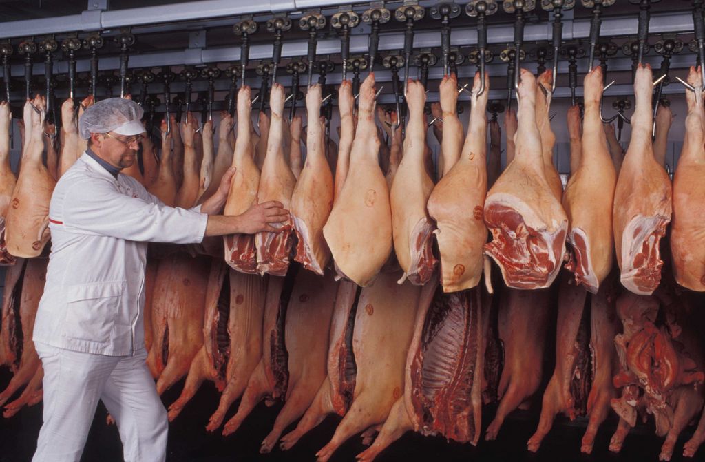 Wie viel Tonnen Fleisch werden in Deutschland produziert? Wie sehen die Betriebsstrukturen aus? Und wie die Nachfrage? Antworten auf diese und andere Fragen zur Tierhaltung und zur Fleischproduktion in Deutschland haben die Thünen-Wissenschaftler Claus Deblitz, Josef Efken, Mandes Verhaagh, Petra Thobe und Zazie von Davier in „Steckbriefen“ zusammengestellt.