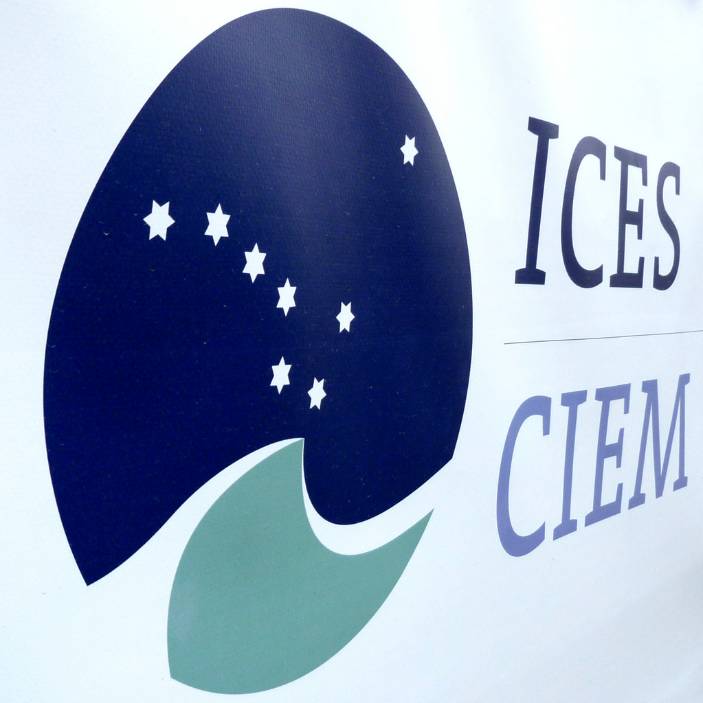 ICES Logo