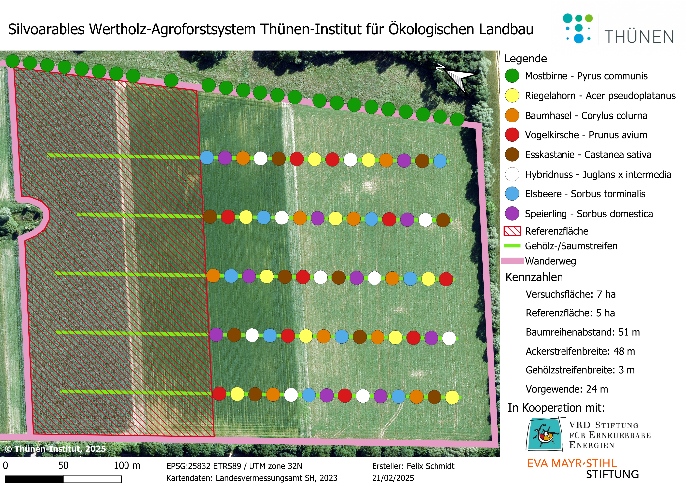 Versuchsplan der Agroforst Anlage mit Bezeichnung der Baumarten und Pflanzpositionen