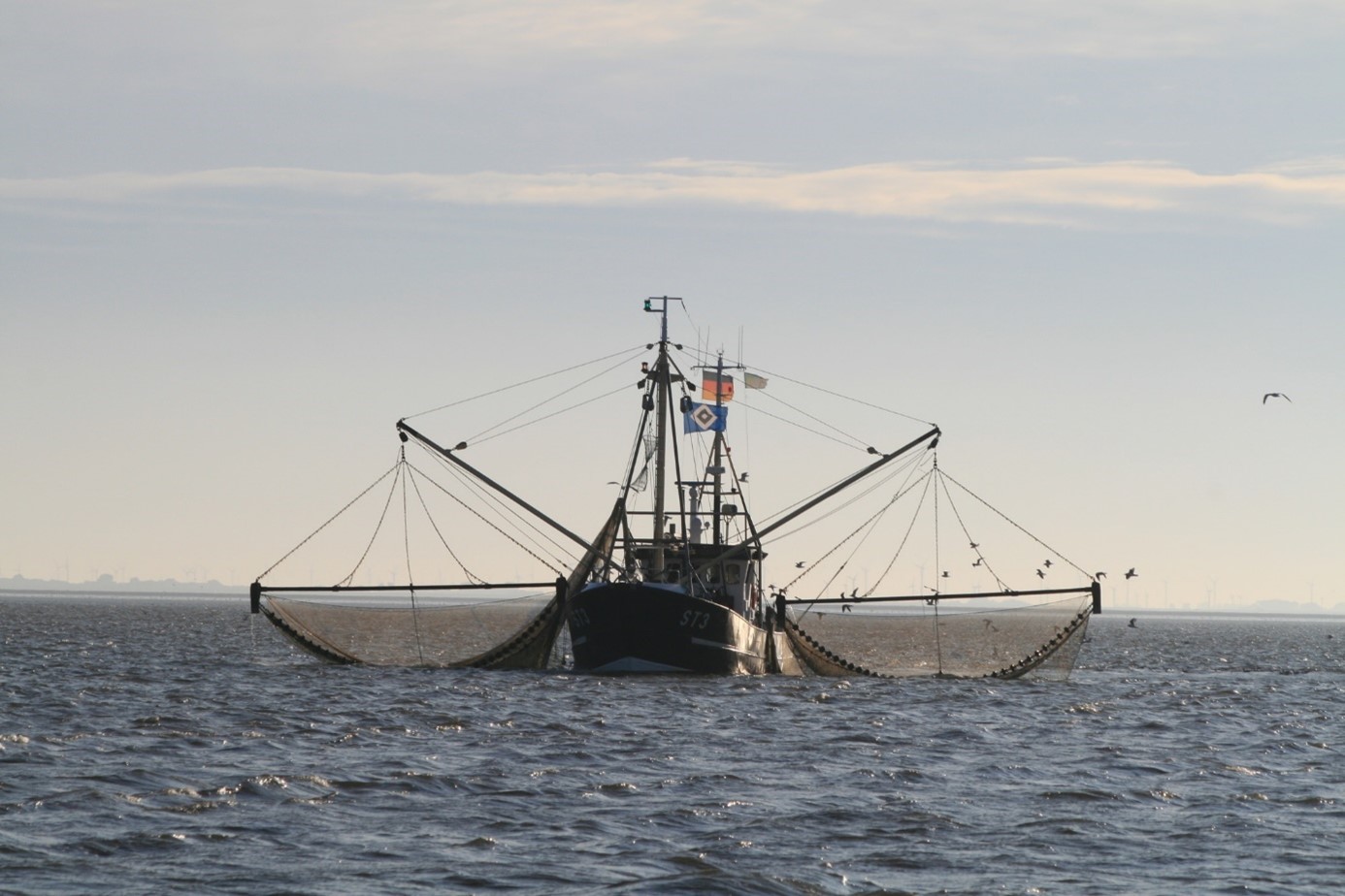 A shrimp cutter on the North Sea. 