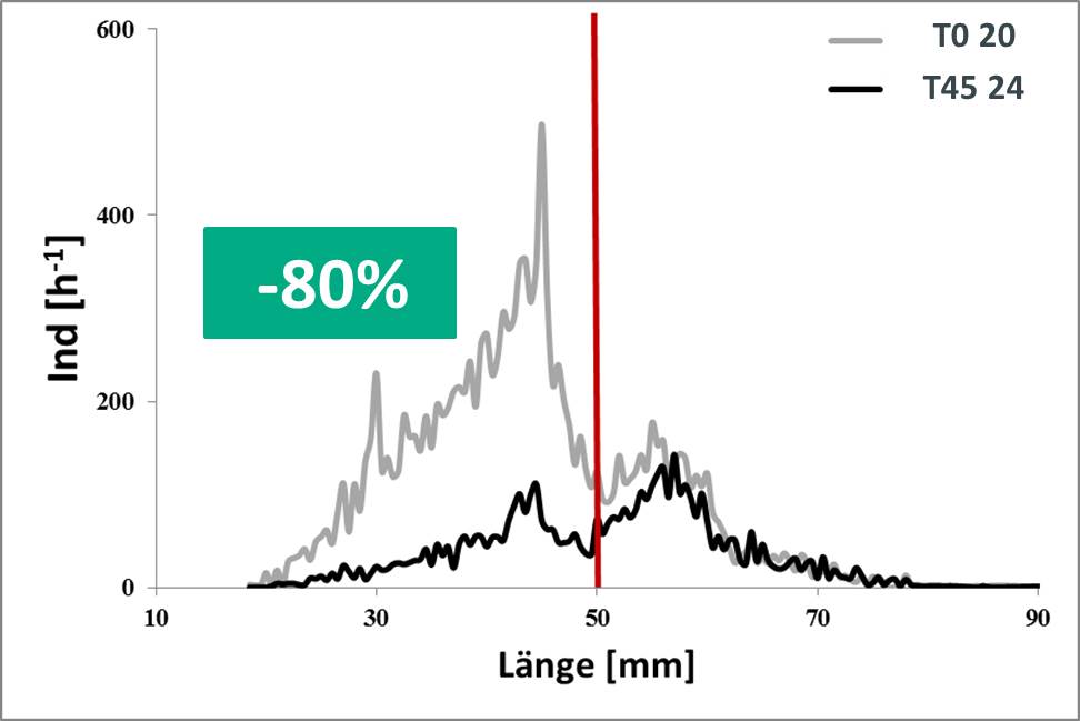 Längenhäufigkeitsverteilung Nordseegarnelen Diagramm mit Längenhäufigkeitsverteilung von Nordseegarnelen