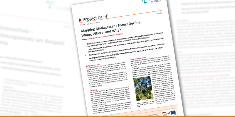 Eine Abbildung des Project brief, soft im Hintergrund Ausschnitte von anderen Project brief.