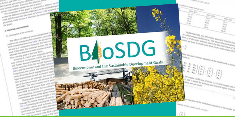 BioSDG lettering; in the background a collage with forest image, logs and rapeseed blossoms