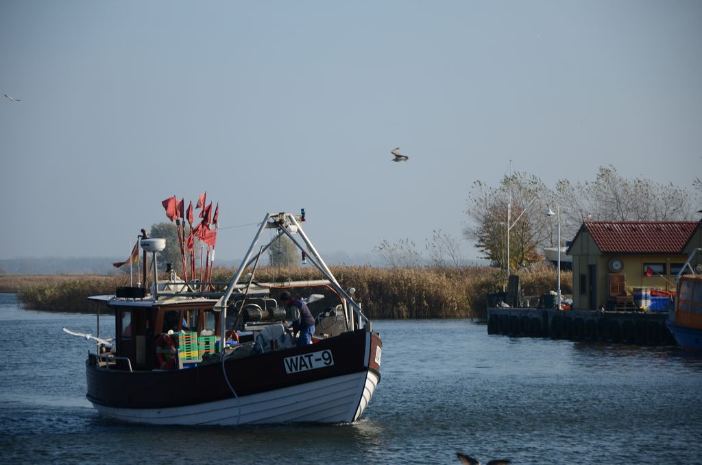 Return of a gillnet boat to port