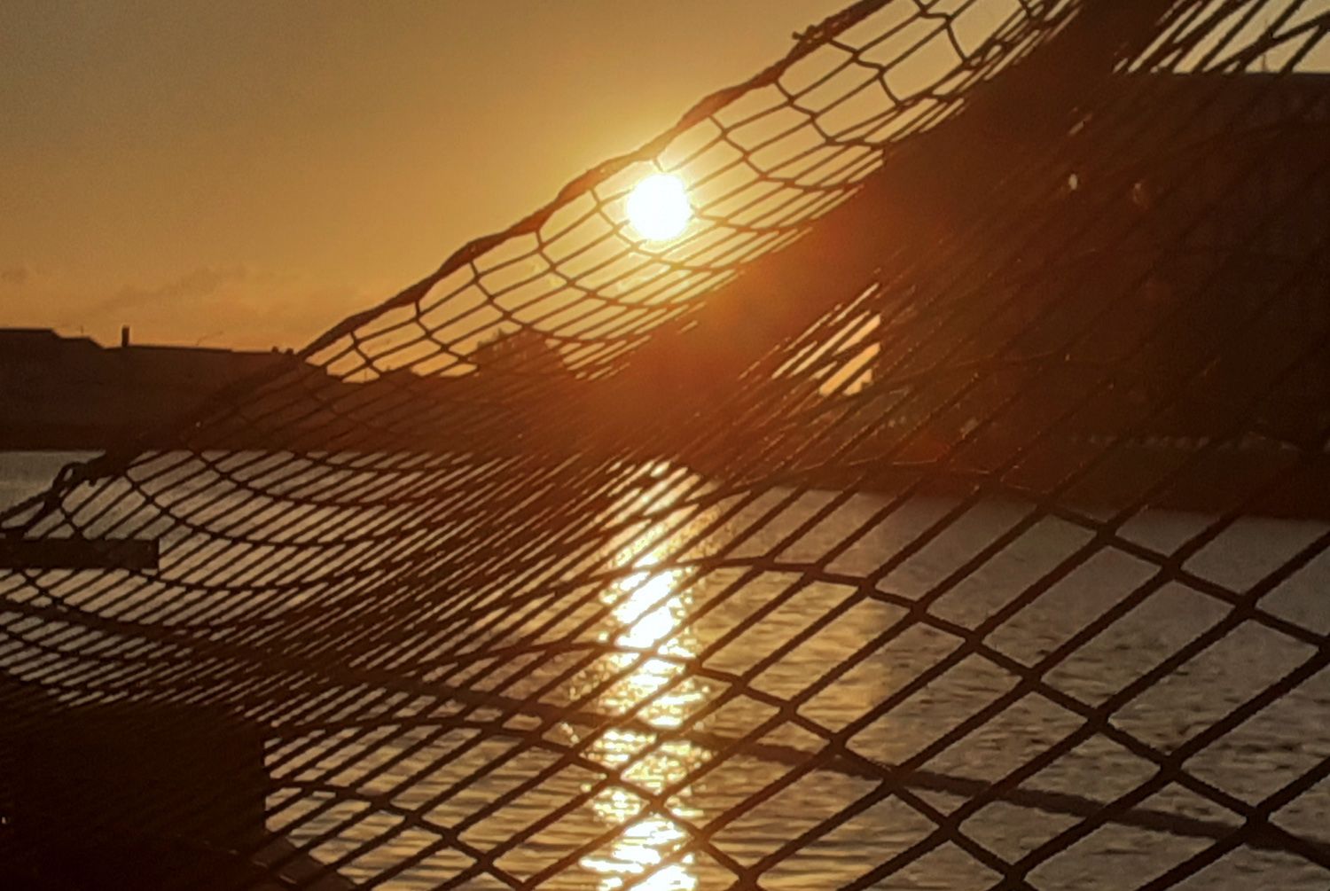 Im Bremerhavener Fischereihafen: abendliche Sonne hinter Fischernetz. Abendstimmung im Fischereihafen: Sonnenuntergang hinter einem Fischernetz.